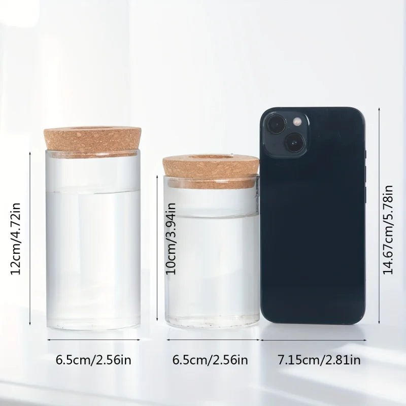 Vaso de Vidro para Hidroponia Elegante Kazaen