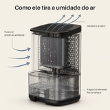 Desumidificador compacto contra mofo e umidade no quarto Kazaen